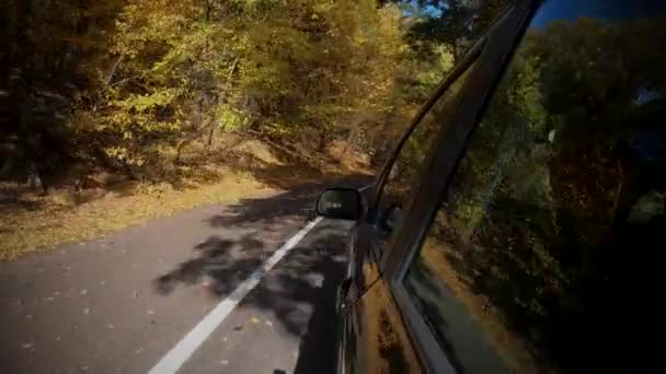 Bildekk som snurrer rundt mens de kjører gjennom klar høstskog i solrikt fall – stockvideo