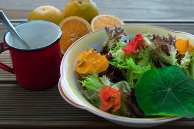 Yaprakları ve yenilebilir çiçekleri olan güzel ve ferahlatıcı yeşil bir salata. Lezzetli bir portakal sosuna eşlik eder..
