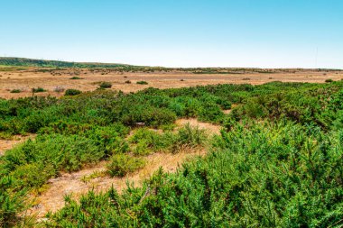 Madeira adasındaki bir platoda boş bir yol. Paul Serra.