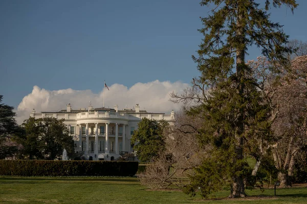 Frente Casa Blanca Washington —  Fotos de Stock