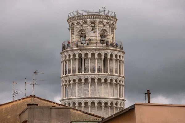 Pisa Kulesi Pisa Kulesi Pisa Katedrali Nin Meydanında Çan Kulesi — Stok fotoğraf