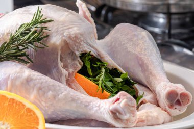 Çiğ hindi, Şükran Günü, Noel yemeği, hazırlık.