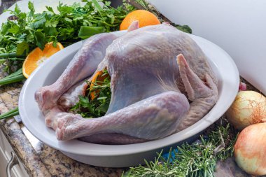 Şükran Günü ya da Noel yemeği için hazırlanmış çiğ bir hindi..