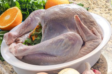 Şükran Günü ya da Noel yemeği için hazırlanmış çiğ bir hindi..