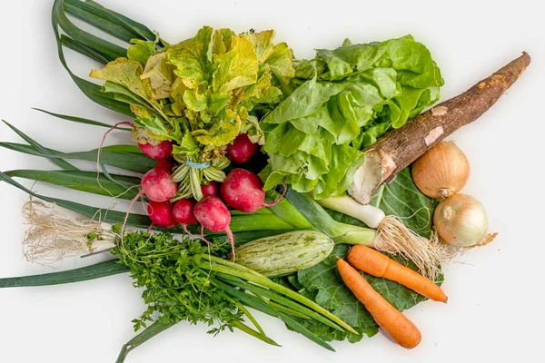 Свежие Овощи Овощи Белом Фоне Биоорганические Продукты Детоксикационная Диета Вид — стоковое фото