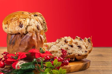 Çikolatalı panettone, Noel için geleneksel İtalyan tatlı pastası. Kırmızı arkaplan.