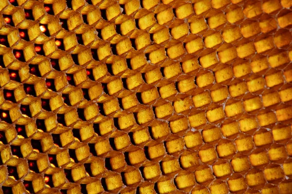 Textura Fondo Patrón Una Sección Panal Cera Una Colmena Abejas —  Fotos de Stock