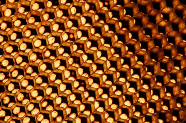 Background Texture Pattern Section Wax Honeycomb Bee Hive Filled Golden — Stock Photo, Image