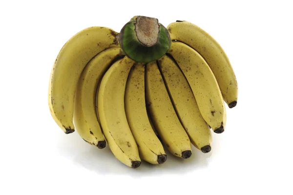 Δέσμη Μπανάνα Απομονωμένη Λευκό Φόντο — Φωτογραφία Αρχείου