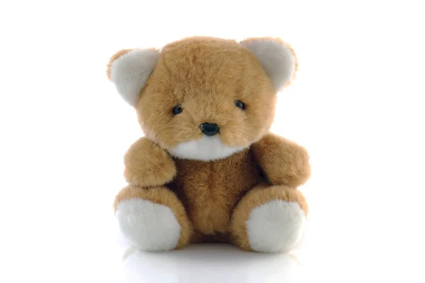 Медведь Тедди Изолирован Белом Фоне — стоковое фото