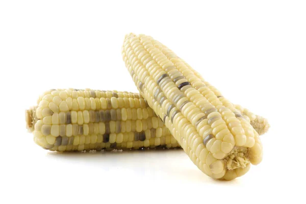 Mais Isoliert Auf Weißem Hintergrund — Stockfoto