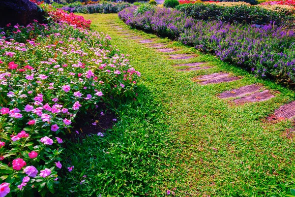 Yazın çiçek bahçesi