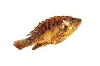 Tilapia kızarmış balığı beyaz arkaplanda izole edilmiş.
