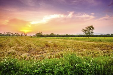 Gün batımında kırsal alan manzarası
