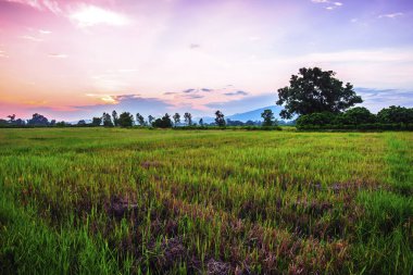 Akşam vakti açık arazinin manzarası