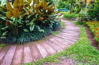 bahçe çiçeği ve yürüyüş yolu.