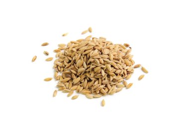 Paddy beyaz arkaplanda izole edildi