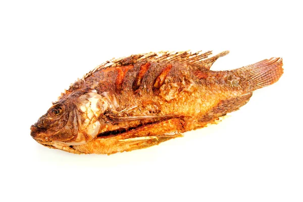 Tilapia kızarmış balığı beyaz arkaplanda izole edilmiş.