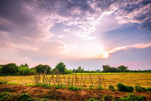 Paysage Campagne Coucher Soleil — Photo