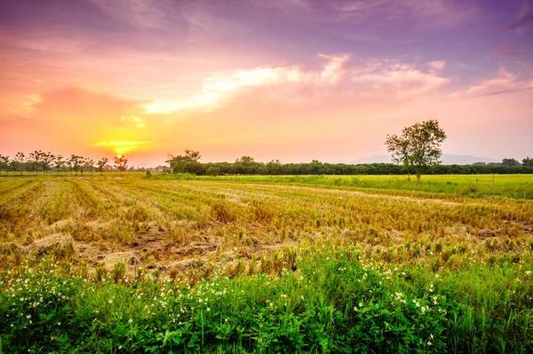 Gün batımında kırsal alan manzarası