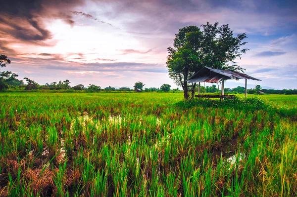 Der Hof Ist Weit Der Landschaft Bei Sonnenuntergang — Stockfoto