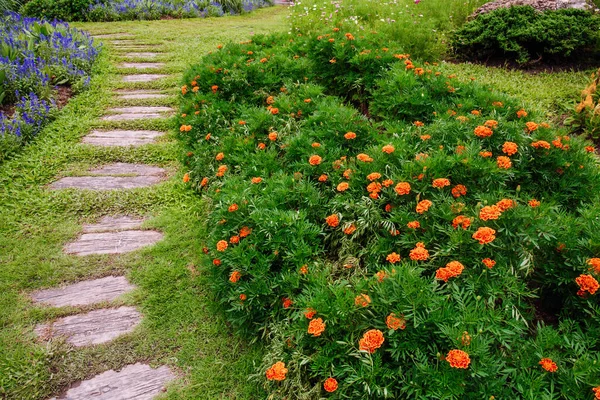 Landscape Garden Flower Walkway — Stock Photo, Image