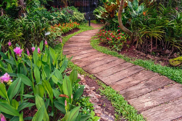 Landscape Garden Flower Walkway — Stock Photo, Image
