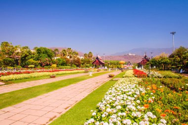 CHIANG MAI, THAILAND - 16 Mart 2017 'de Tayland, Chiang Mai' de Kraliyet Parkı Rajapruek.