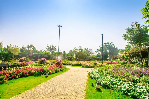 Landscape Garden Flowers — Stock Photo, Image