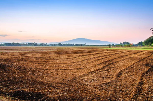 Pirinç çiftçilerinin ekim alanını hazırlayın.