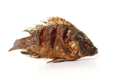 Kızarmış Tilapia balığı, beyaz arka planda izole edilmiş.