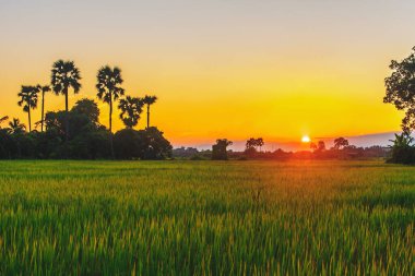 Kırsalda akşam gökyüzü