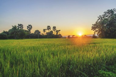 Kırsalda akşam gökyüzü