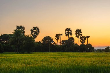 Kırsalda akşam gökyüzü