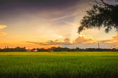 Tayland 'ın üzerinde akşam gökyüzü