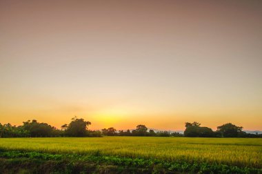 Kırsal alanda akşam gökyüzü
