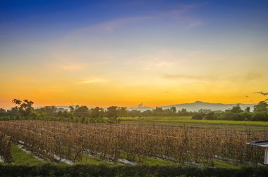 Akşam vakti kırsal alanda akşam vakti