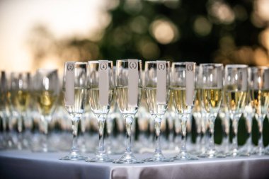 Etiketli şampanya kadehleri servis için hazır.