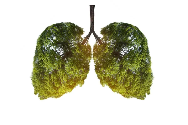 Πνευστές πράσινες εικόνες σε σχήμα δέντρου, ιατρικές έννοιες, αυτοψία, 3D DIS — Φωτογραφία Αρχείου