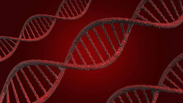 Illustration D N A or (Deoxyribonucleic Acid), 3D model on a red background