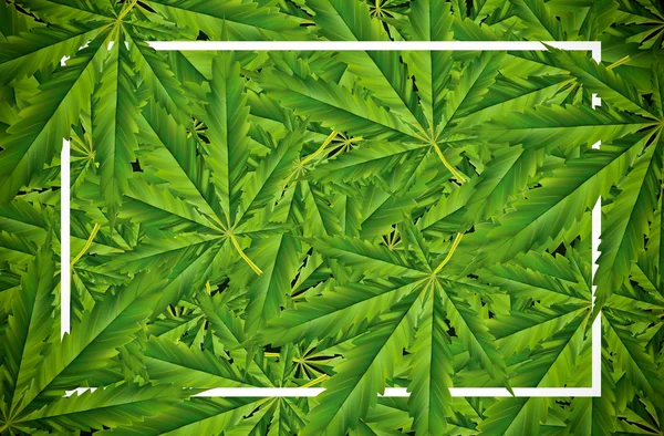 Ilustrace marihuany na listové listy konopí tmavé pozadí, beauti — Stock fotografie