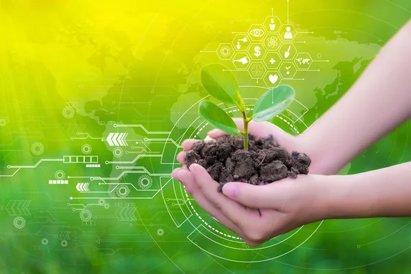 Elinde yeşil ağaç ya da orman aşk dünya seviyorum.