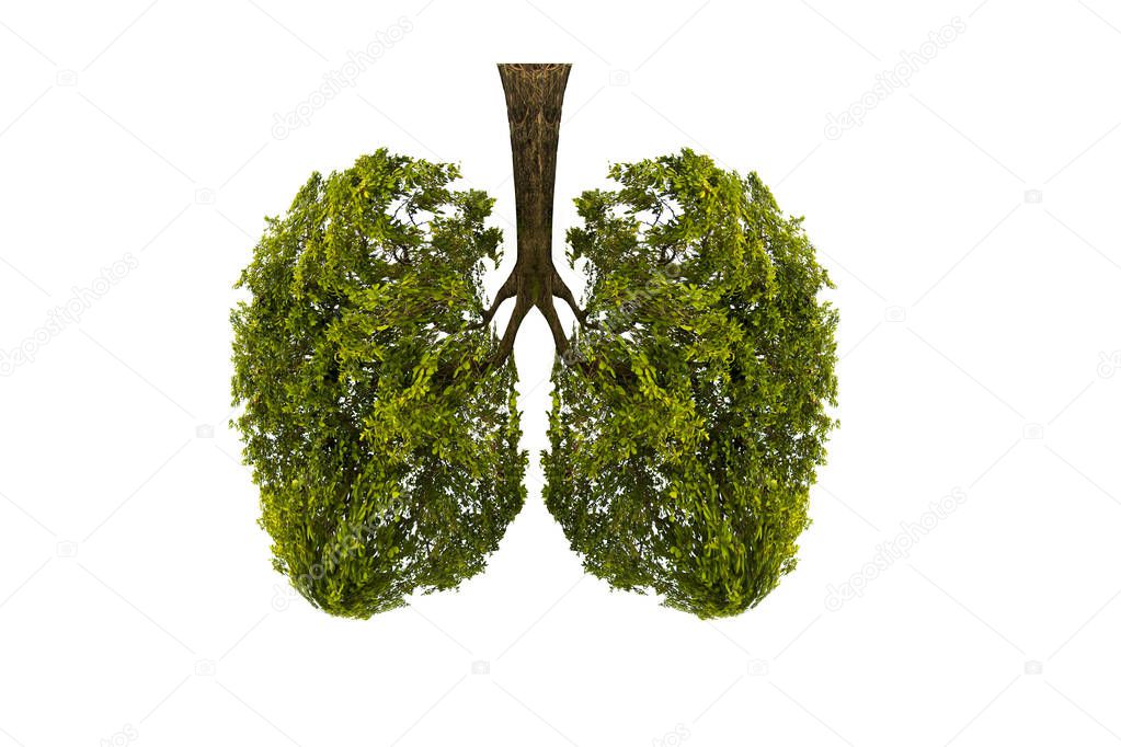 Lung green tree-shaped images, medical concepts, autopsy, 3D dis