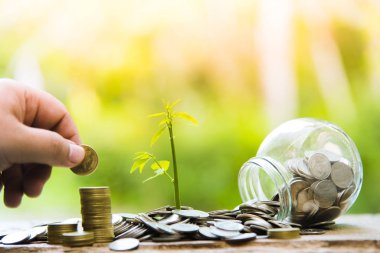 Para ile ağaçlar, para tasarrufu ve eller büyüyen.