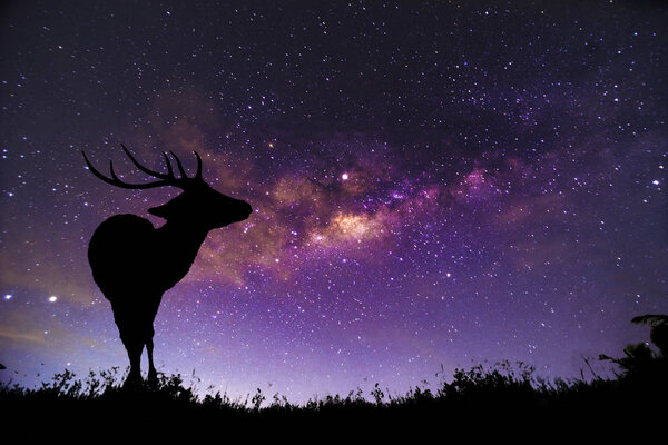 Образ оленя находится в созвездии Млечный Путь
.