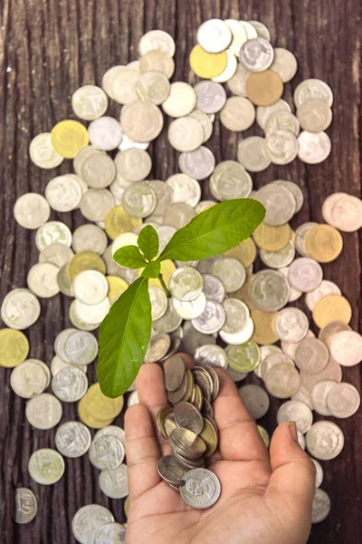 Trees with money, saving money and growing hands.