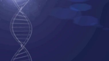 DNA vektörü mavi arkaplan