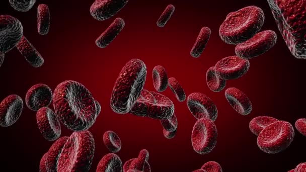 globules rouges Utiliser comme illustration médicale est une image 3D et le mot est écrit .