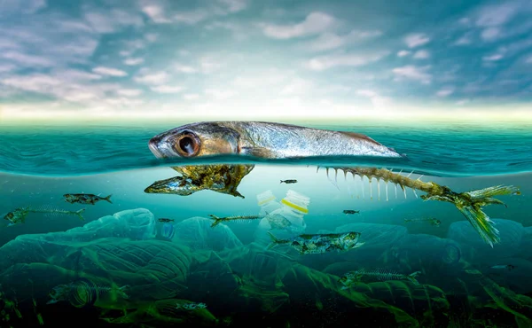 Poluição Plástica Problemas Ambientais Marinhos Animais Mar Não Podem Viver — Fotografia de Stock