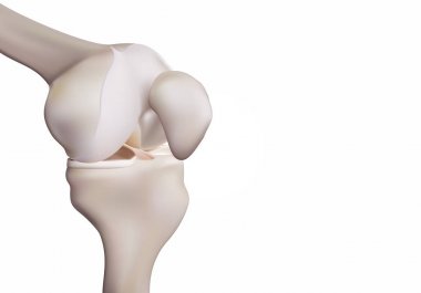 3D Rendering, insan ve tıbbi diz bilimi illüstrasyonları